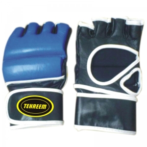 MMA Gloves