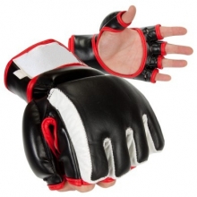 MMA Gloves