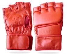 MMA Gloves